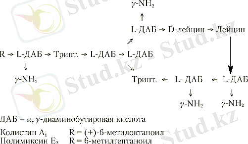 C:\Users\АНАРА\Downloads\38274~002.gif