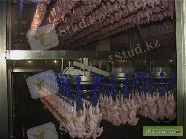 http://agro-russia.com/imgs/board/8/4258-3.jpg