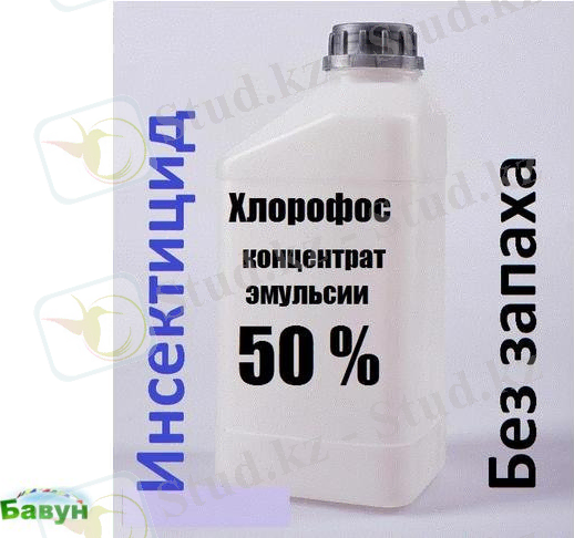 https://www.bavun.com/mainclass/photos/1/6/1458305156pnjwh.jpg