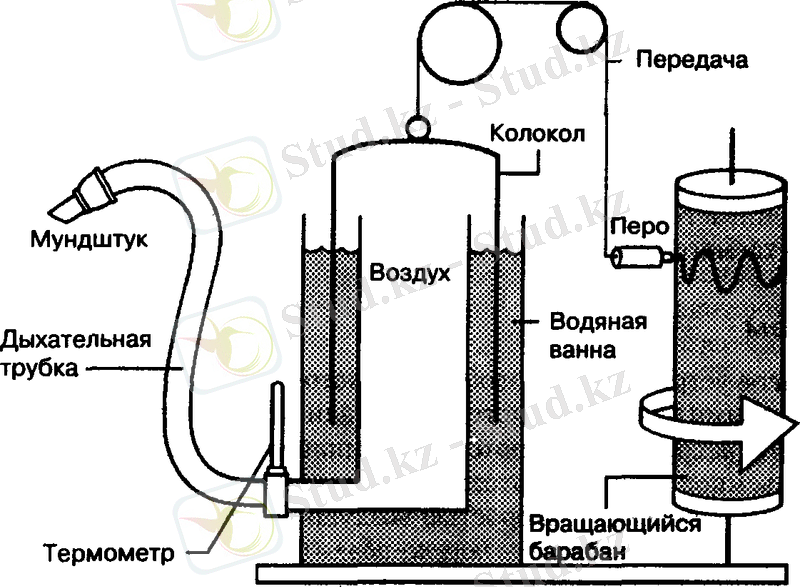 https://www.spiro.ru/info/osnovi/img/01.gif