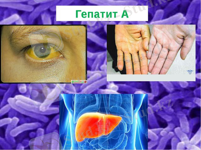 https://ds02.infourok.ru/uploads/ex/105e/0007c505-ce00958f/2/640/img10.jpg