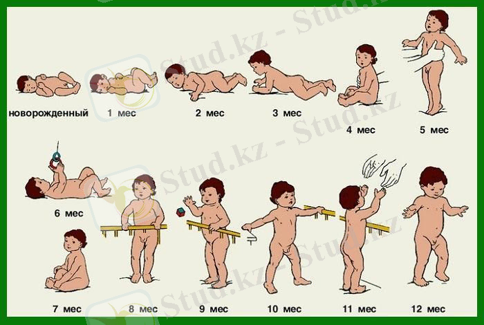 http://grudnichki.com/images/Bit/grudnichok-po-mesyatsam2.jpg