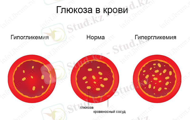 C:\Users\нр\Desktop\Blood_Glucose_3.png