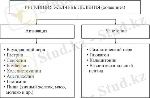 5b1642fda1.jpg