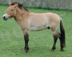 https://konspekta.net/studopediainfo/baza4/2308414800632.files/image008.jpg