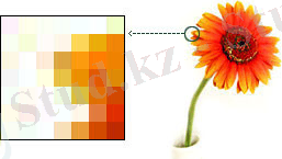 http://print-guru.ru/wp-content/uploads/2012/07/the-concept-format-application-characteristics-of-raster-and-vector-graphics.jpg