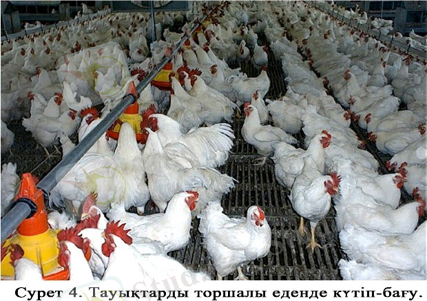 74c5d7d57bbe.jpg
