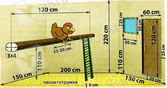 kuriatnik-svoimi-rukami-chertezh.jpg