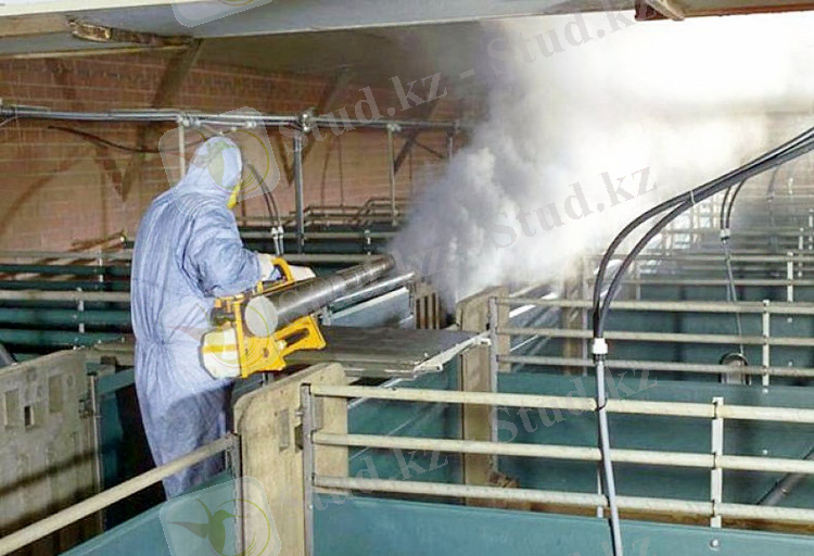 Дезинфекция.jpg