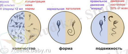 C:\Users\Алмаз\Desktop\меру\32216313.94546088.jpeg