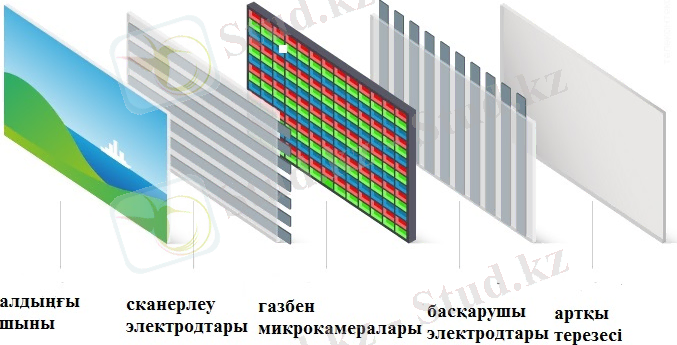 plazma_infogr
