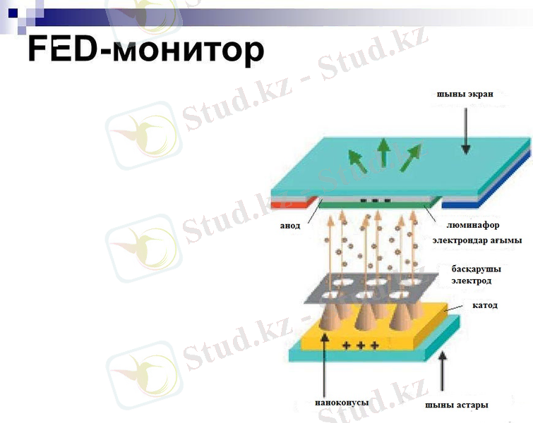 slide_7 1