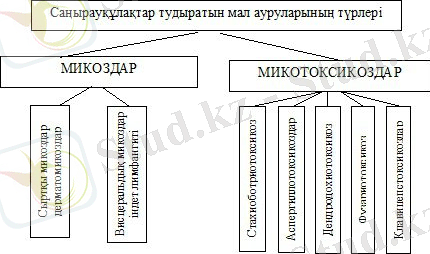 http://s020.radikal.ru/i711/1402/6f/dff916e2ffa5.jpg