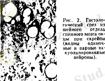 C:\Users\Администратор\Videos\11111.gif