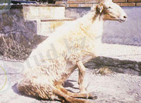 C:\Users\Администратор\Videos\111111.jpg