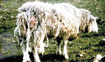 C:\Users\Администратор\Videos\11.jpg