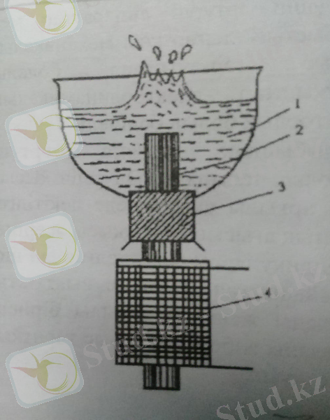 c63bc3ee-1b46-41e6-9498-d9f387022ebf.jpg