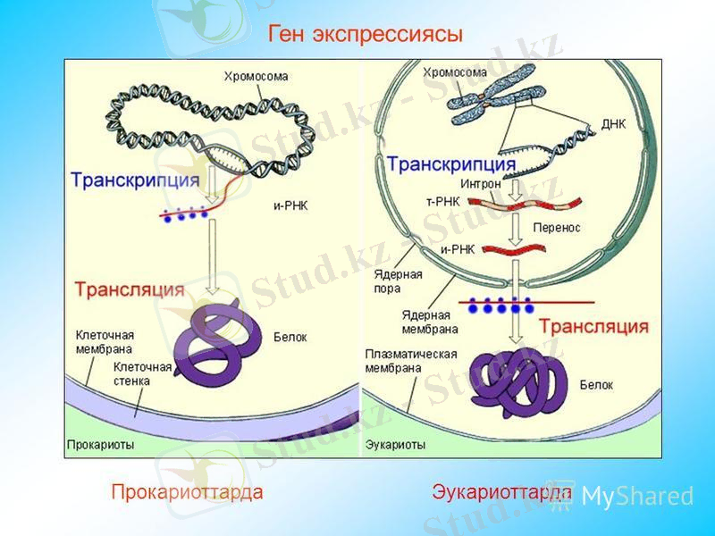 slide_6.jpg