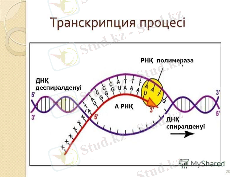 slide_20.jpg