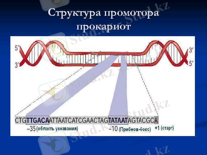 C:\Users\User\Desktop\принтер\16131795_132541356.pdf-5.jpg