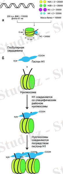 6c28a45e.jpg