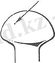 C:\Users\user\Desktop\Micronsize_int.jpg