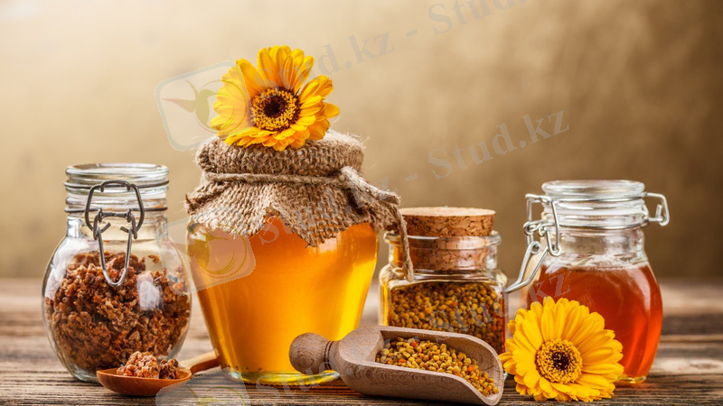http://el.kz/media/images/tiny_images/0c3473fb5f3bb314d574160c386700b7.jpg