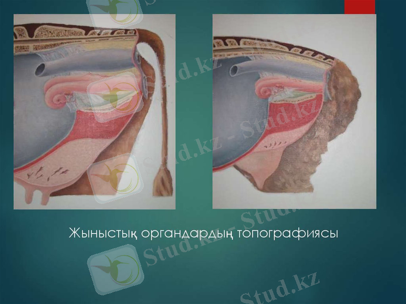 C:\Users\User\Desktop\slide-7.jpg