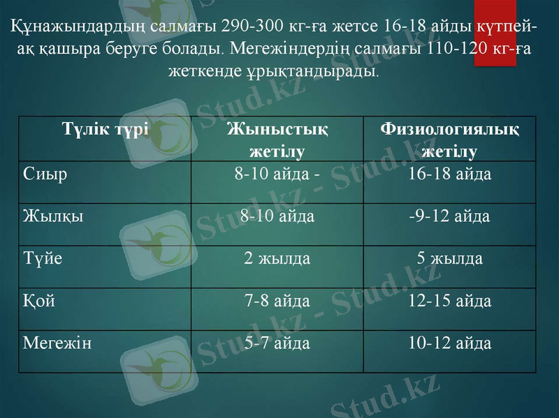 C:\Users\User\Desktop\slide-13.jpg