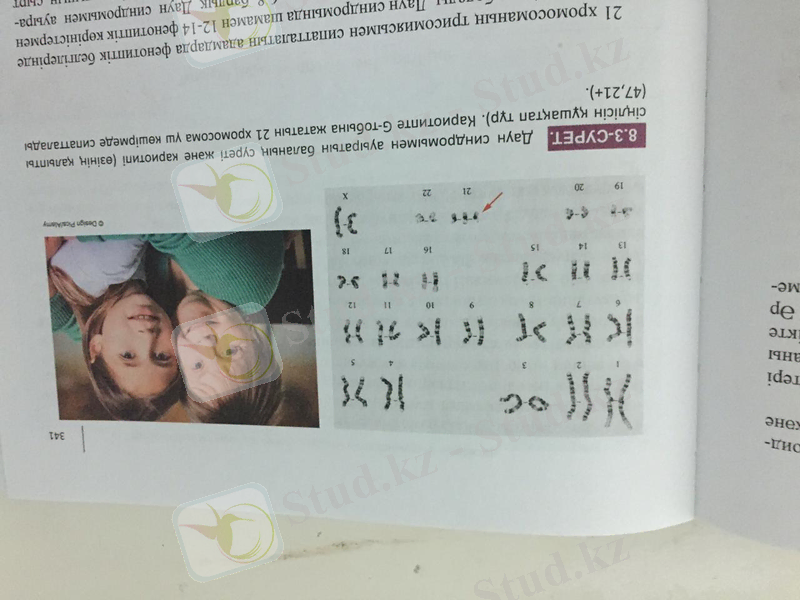 C:\Users\фвьшт\Desktop\IMG-20181115-WA0007.jpg