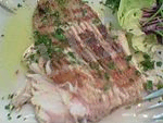 https://upload.wikimedia.org/wikipedia/commons/thumb/1/1c/Skate_wing.jpg/150px-Skate_wing.jpg