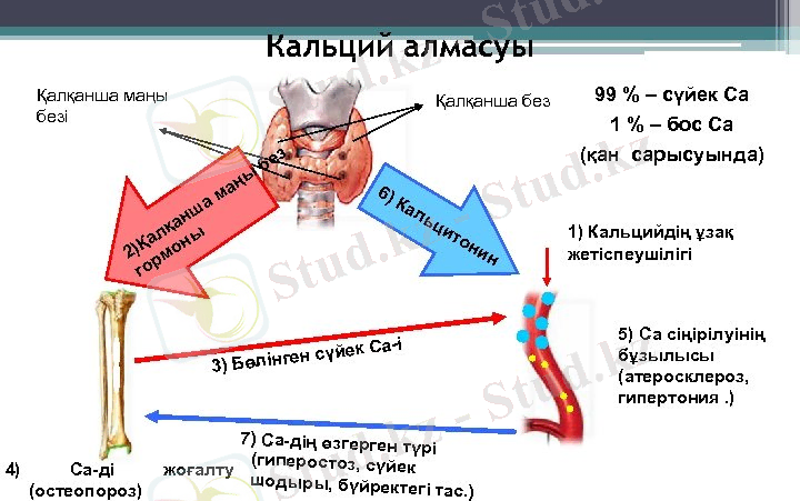 C:\Users\User\Downloads\image-8.jpg