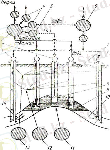 https://helpiks.org/helpiksorg/baza8/97859263065.files/image002.jpg