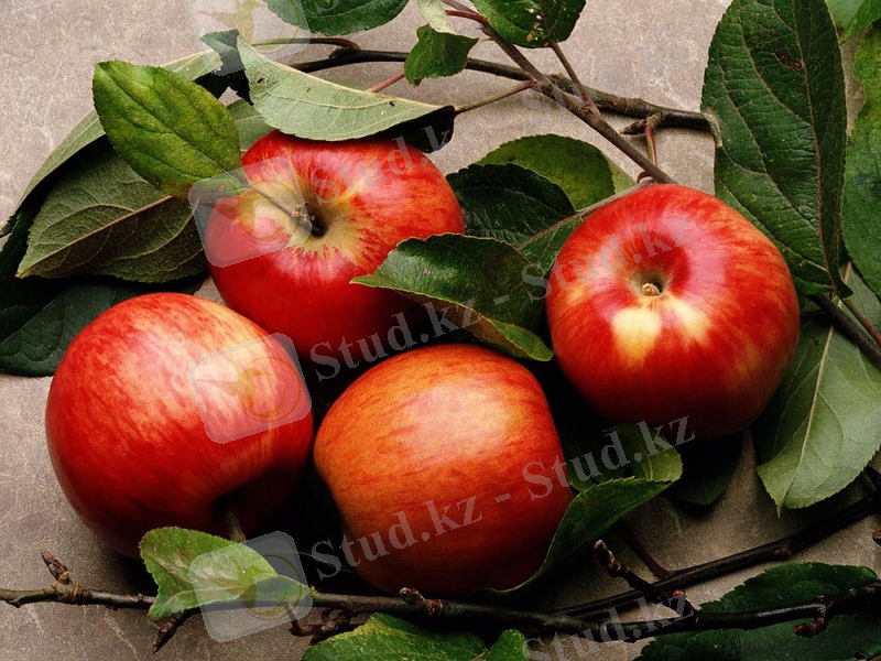 http://bilim-all.kz/uploads/images/2017/10/11/original/c69979b40db2f829002f0d07a3e510e7.jpg