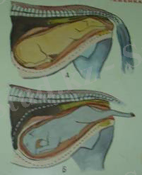 http://portal.kazatu.kz/e-books/content/5B3AfH5ju76Py0AfBHv9/images/image017.jpg
