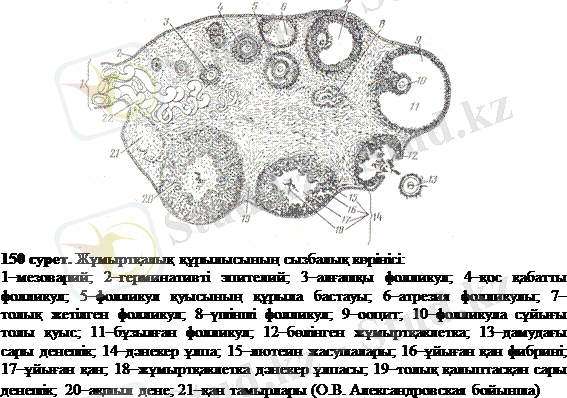http://ebooks.semgu.kz/ebook/7/images/1182/922/clip_image002.gif