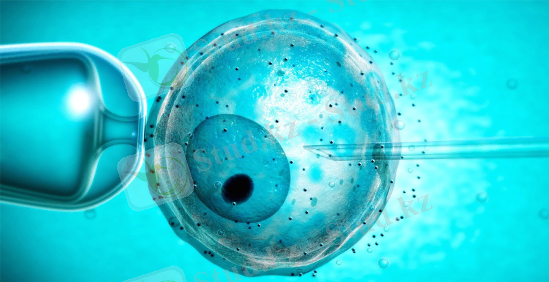 https://www.log.com.tr/wp-content/uploads/2017/08/geneediting.jpg