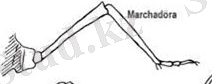 C:\Users\User\Desktop\2 (2).jpg