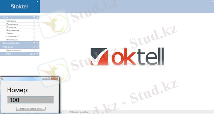 C:\Users\Назым\Desktop\Отчет\Oktel\InfoNumber.jpg